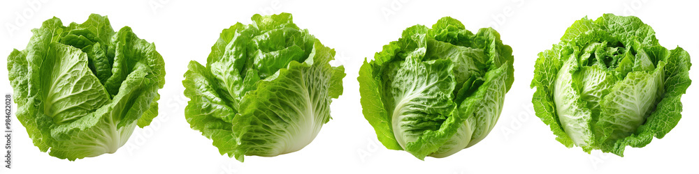 Iceberg Lettuce - Crisp and refreshing Isolated on Clear White Background Highly Detailed Iceberg Lettuce - Crisp and refreshing Isolated on Clear White Background Highly Detailed