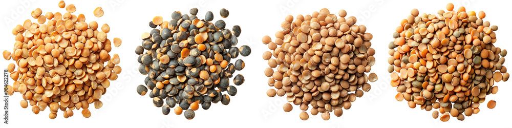 great in soups and stews Lentils - Nutty and earthy Isolated on Clear White Background Highly Detailed great in soups and stews Lentils - Nutty and earthy Isolated on Clear White Background Highly Detailed