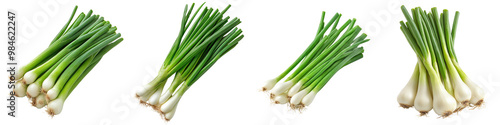 Green Onions/Scallions - Mild and fresh Isolated on Clear White Background Highly Detailed