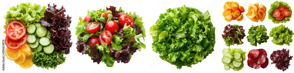 adds zest to salads Isolated on Clear White Background Highly Detailed adds zest to salads Isolated on Clear White Background Highly Detailed