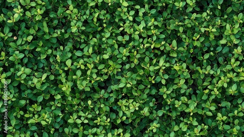 Seamless patterns of green grass texture in a colorful garden background viewed from above