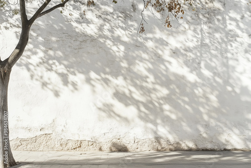 Mottled Tree Shadows Cast on a White Wall in a Serene Minimalist Setting, Creating Abstract Play of Light and Nature.