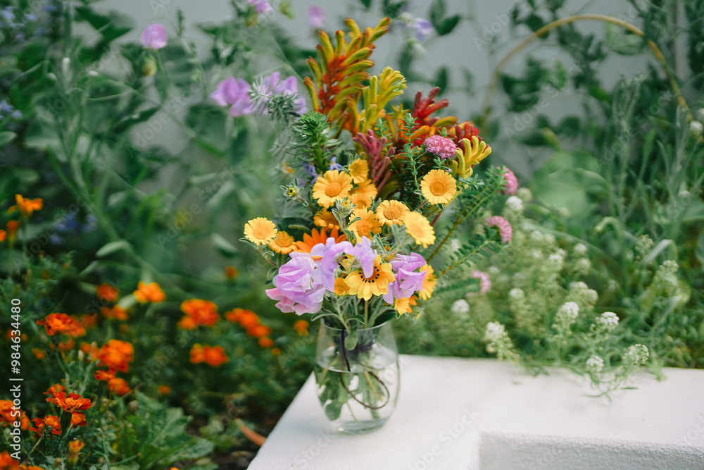 Fototapeta premium Spring flowers from australian backyard. Daisies, kangaroo paw, sweet pea.Analog film style photo 