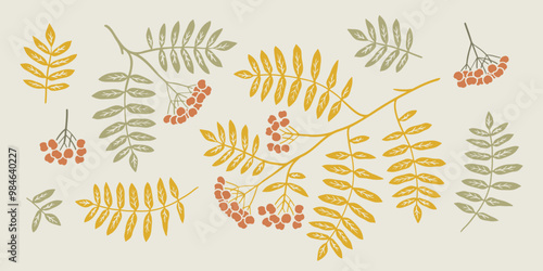 Rowan branch linocut illustration set. Hand drawn graphic. Cute color drawing of fall element. Flat autumn leaves and berries.