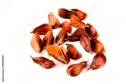 Close-up of a group of three edged beechnuts with their fruit shells lying on a white table photo