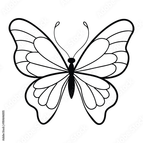 Black butterfly vector design. Line art