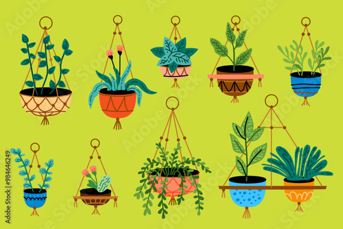 Potted plants set. Interior houseplants in planters, baskets, flowerpots. Home indoor green decor. Different succulents, cacti, foliage. Flat graphic vector
