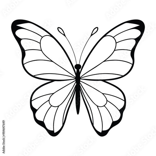 Black butterfly vector design. Line art
