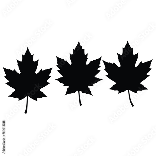 three maple leaf's silhouette, vector illustration, on the white background, 