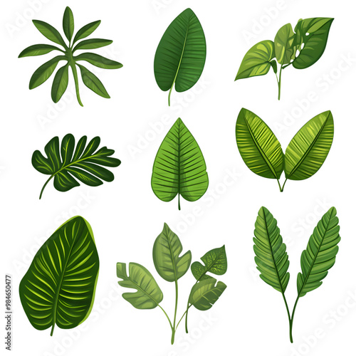 Green tropical leaves collection isolated transparent background illustration