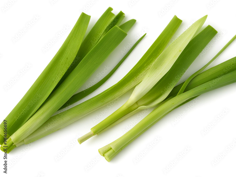 Leek stems and leaves, isolated on white background. Leek stems and leaves, isolated on white background.