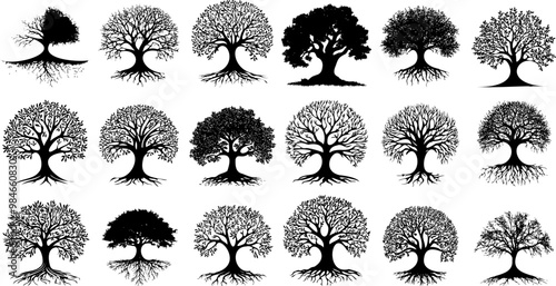 Tree of Life Silhouettes Illustration for Mindful Living