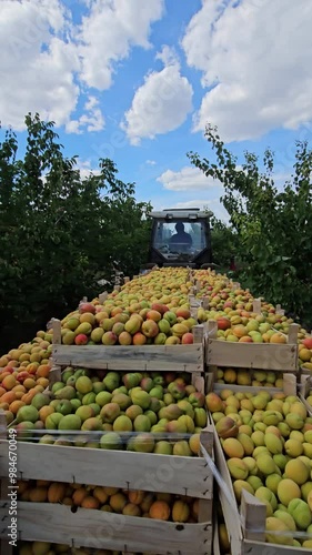 A machine in a fruit farm