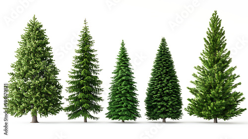 Set of green trees isolated on transparent background, christmas tree