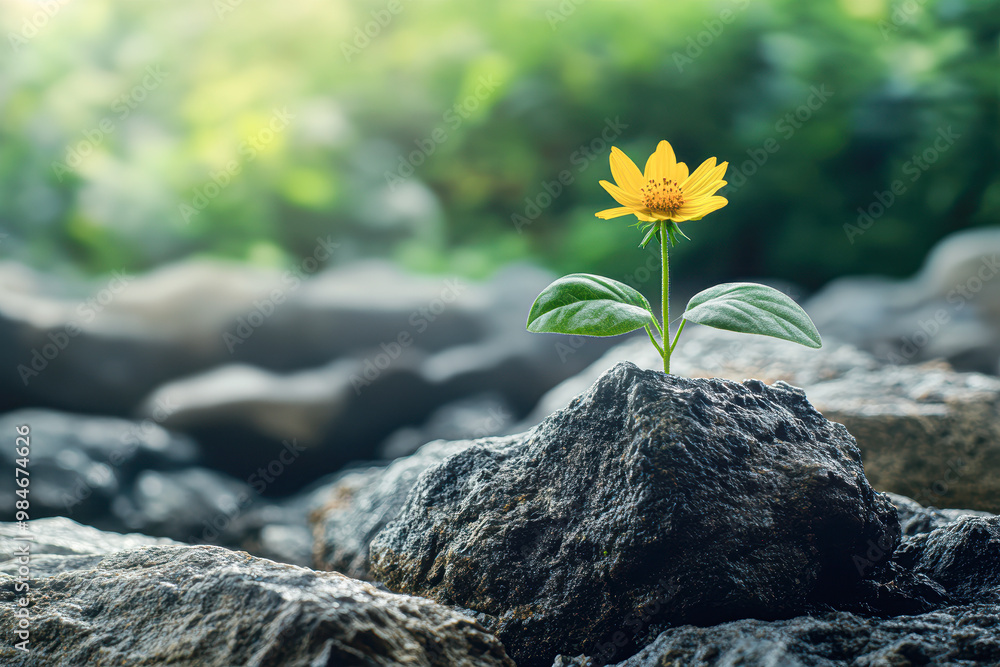 Empowerment Through Personal Development Coaching A Vibrant Journey to ...