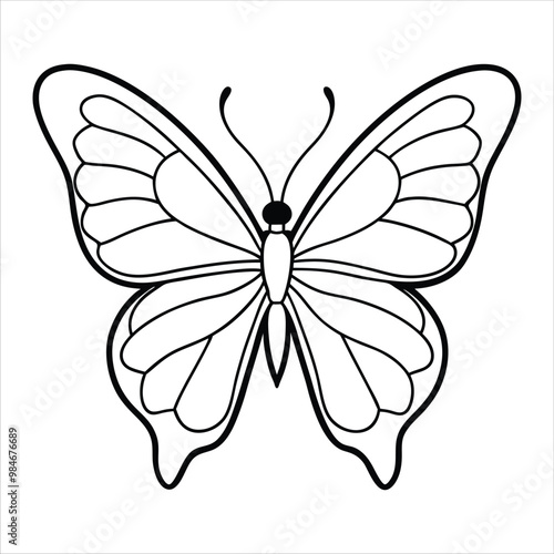 Black butterfly vector design. Line art