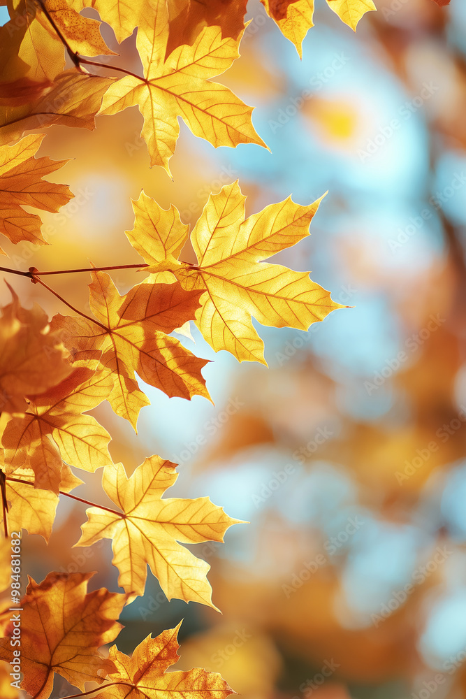 Autumn branches, fallen leaves, set against a bokeh background Autumn branches, fallen leaves, set against a bokeh background