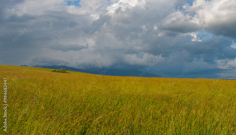 Landscape mountain. In the foreground, a meadow before haymaking. In the distance you can see a mountain peak surrounded by clouds Landscape mountain. In the foreground, a meadow before haymaking. In the distance you can see a mountain peak surrounded by clouds