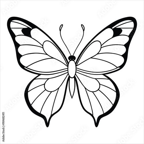 Black butterfly vector design. Line art