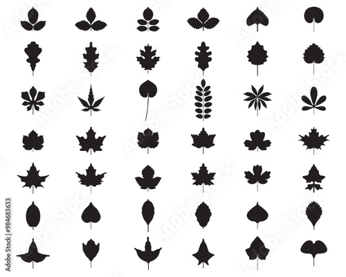 Black silhouettes of foliage on a white background	