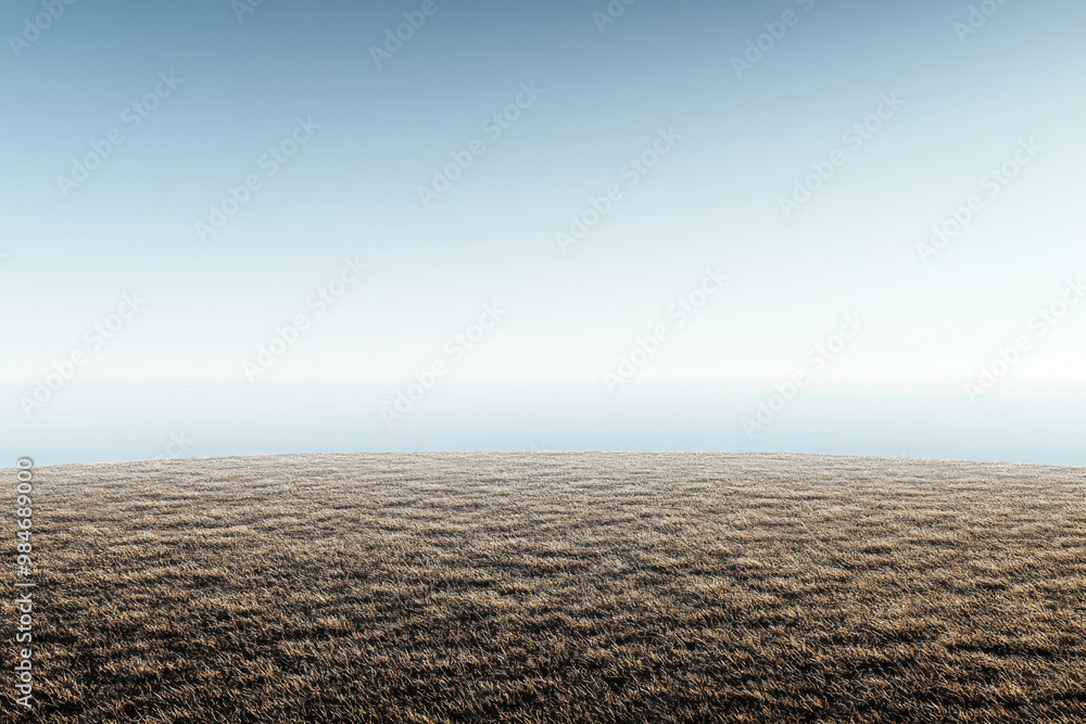 Serene landscape with vast grassy field under a clear blue sky during early morning light Serene landscape with vast grassy field under a clear blue sky during early morning light
