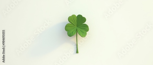 Minimalistic clover leaf on white background. wide banner