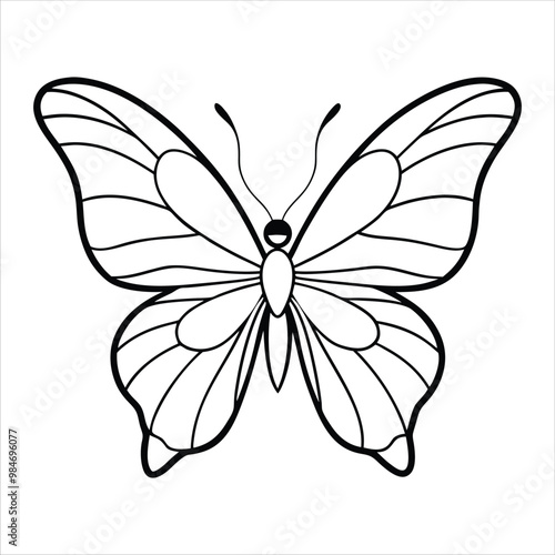 Butterfly vector design