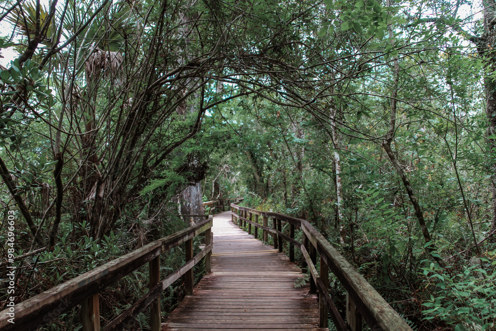 Everglades walk Everglades walk