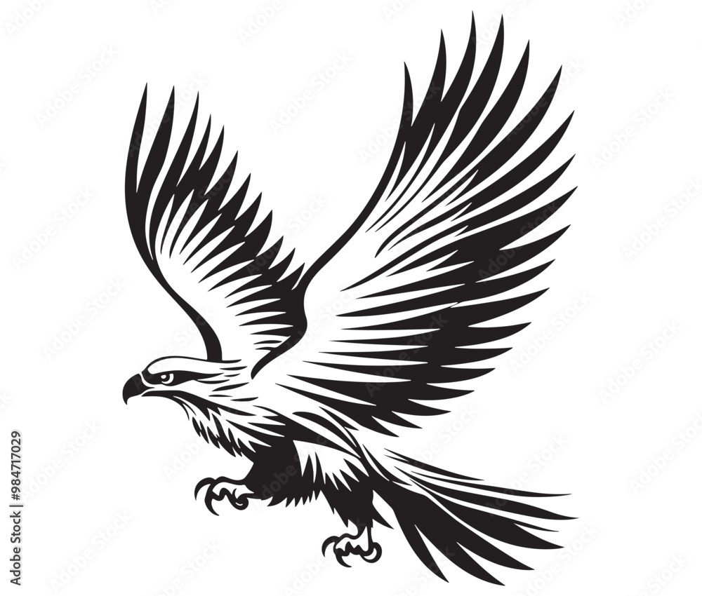 Obraz premium Flying eagle vector illustration
