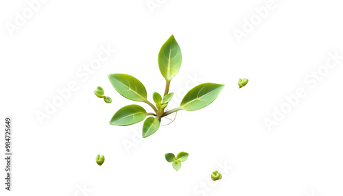 Obraz na płótnie ground awakening sunset spring little backdrop green sprout appearing nature close germinating new cultivated life ai growing garden nature environmental spring young small agriculture growth seed w salonie