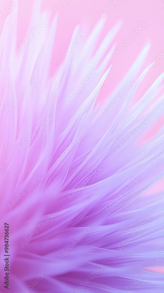 A close up of a purple flower with long, thin, purple petals A close up of a purple flower with long, thin, purple petals