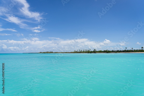 Panorama of Saona Island. Caribbean Sea with clear turquoise ocean, blue sky and green palms.Dominican Republic