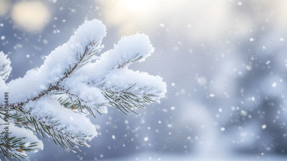 Snowy Pine Branch in a Winter Wonderland Snowy Pine Branch in a Winter Wonderland