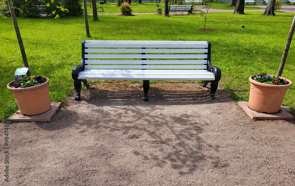 On a bright sunny spring day, there is a white bench in the park.