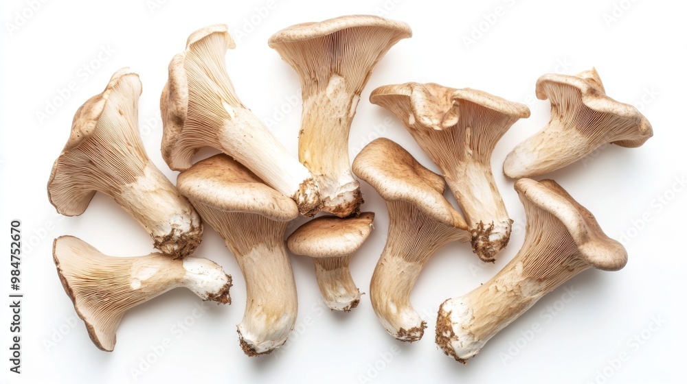 Fototapeta premium A top-down view of King oyster mushrooms scattered on a white background, their thick stems and wide caps creating an interesting visual contrast.