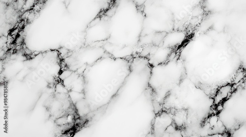 Close-up of elegant, textured white marble with striking black veining.