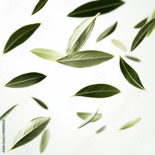 Dynamic close-up of olive leaves in mid-air, falling and isolated on a white background.