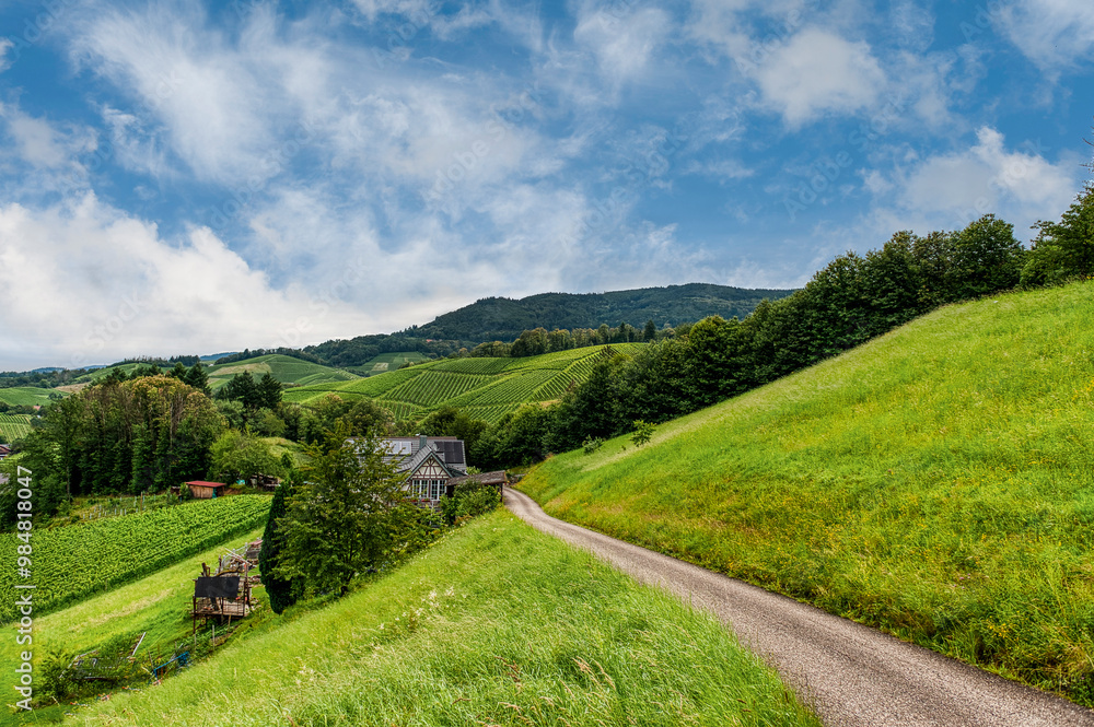 Sasbachwalden is a municipality in the district of Ortenau, Baden-Württemberg, Germany. It is located on the western slope of the Hornisgrinde mountain. Sasbachwalden is a municipality in the district of Ortenau, Baden-Württemberg, Germany. It is located on the western slope of the Hornisgrinde mountain.