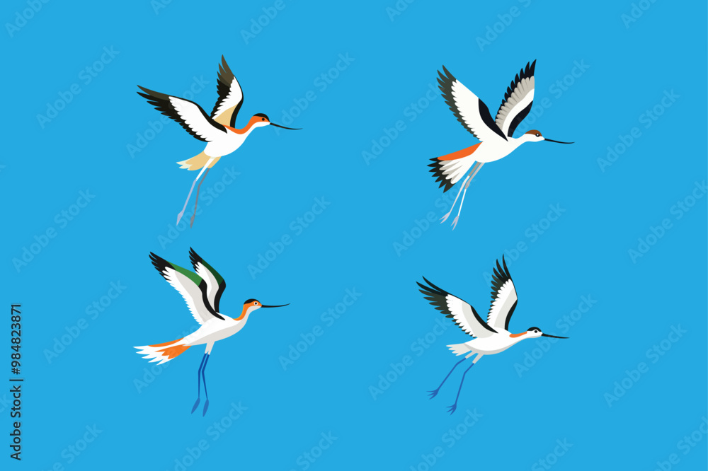American Avocet Bird in flight movement vector artwork American Avocet Bird in flight movement vector artwork
