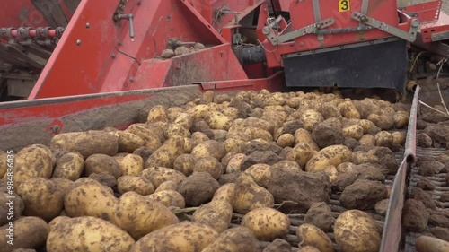 Kartoffelerntemaschine Roder im Einsatz während der Erntesaison 2024 im Herbst Kartoffelernte photo