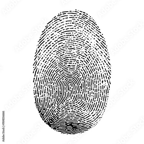 Fingerprint isolated on transparent or white background, vector illustration of a unique biometric pattern for security, criminal evidence, and digital identity concept.