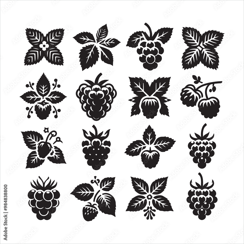 Raspberry icon silhouette on white background
Raspberry icon silhouette on white background