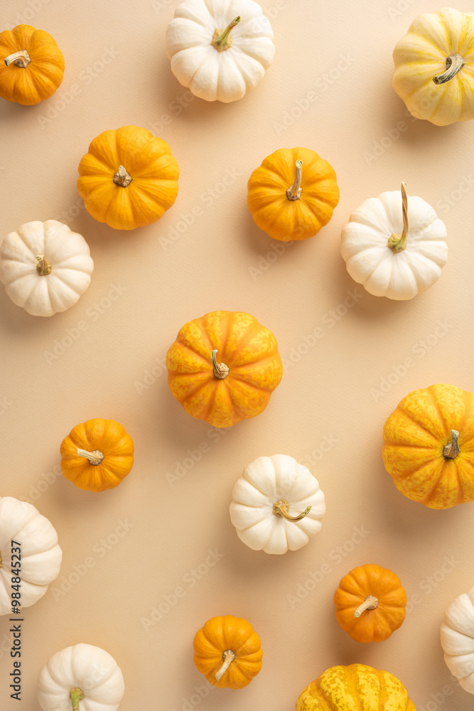 Festive display of small orange and white pumpkins symbolizing the harvest season, perfect for autumn and Thanksgiving themes Festive display of small orange and white pumpkins symbolizing the harvest season, perfect for autumn and Thanksgiving themes