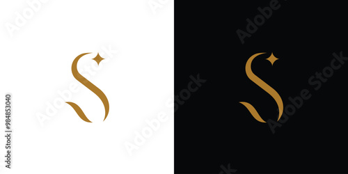 Luxury and unique S logo design