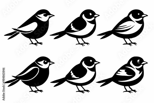 A set of six small birds, in black and white silhouette style, perched side by side, with clean and minimalist details. The birds have simple, elegant features with subtle shading to differentiate bod