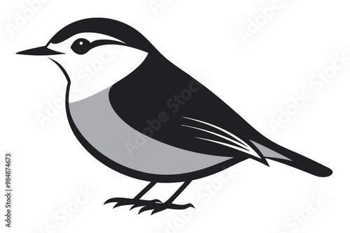 Nuthatch birds silhouette vector illustration on a white background 