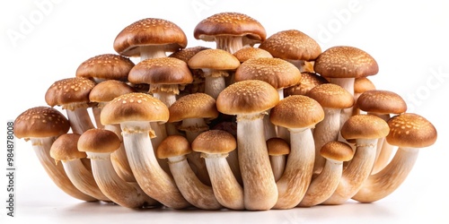 A Close-Up of a Cluster of ...
