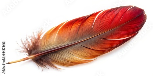 A Single Red and Brown Bird...