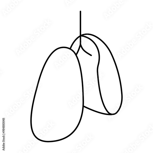 Premium download icon of lungs