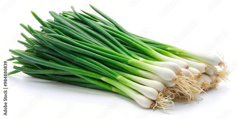 Fresh Green Onions Bunch Isolated on White, Green Onion, Spring Onion, Onion Fresh Green Onions Bunch Isolated on White, Green Onion, Spring Onion, Onion